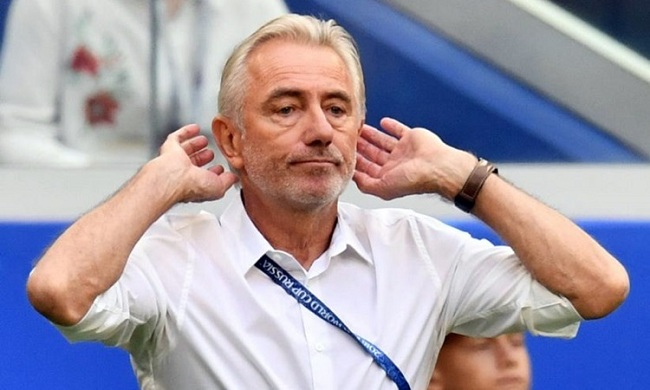 bert-van-marwijk 