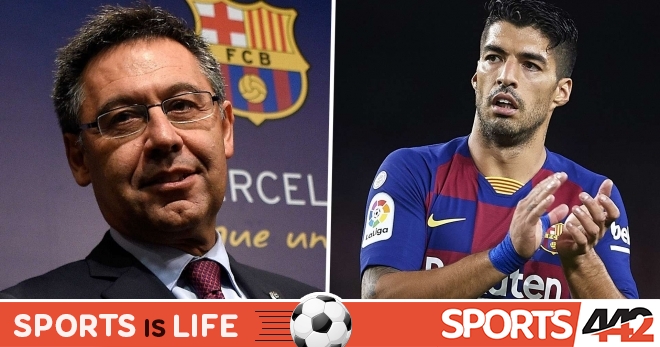 bartomeu-suarez_nudcodo20e0w14szxsqte9p1c