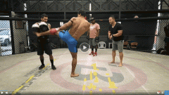 VIDEO: Võ sĩ UFC tung 23 cú đá trong vòng 12 giây