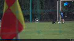 VIDEO: HLV Park Hang Seo thể hiện kỹ năng chơi bóng
