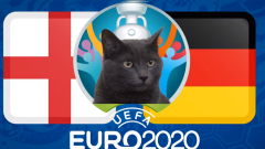 VIDEO: Chú mèo 'siêu tiên tri' dự đoán trận Anh vs Đức - Euro 2020