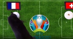 VIDEO: Mèo tiên tri dự đoán 'sai bét' kết quả trận đấu tại EURO 2020