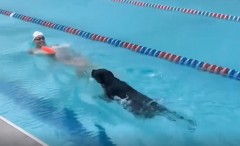 VIDEO: Chủ nhân HCV Olympic Tokyo khoe tài nghệ của cún cưng