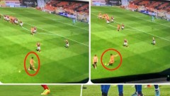 VIDEO: Siêu phẩm đá phạt kiểu 'giương đông kích tây' khiến thủ môn bị mắc lừa
