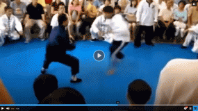 VIDEO: Cao thủ Trung Quốc dùng võ hét cũng khiến đối phương ngã ngửa VIDEO: Cao thủ Trung Quốc dùng võ hét cũng khiến đối phương ngã ngửa