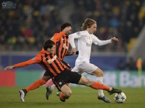 Nhận định bóng đá Real Madrid vs Shakhtar Donetsk 21/10: Los Blancos đại thắng trận mở màn Nhận định bóng đá Real Madrid vs Shakhtar Donetsk 21/10: Los Blancos đại thắng trận mở màn
